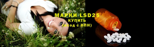 амф Магас