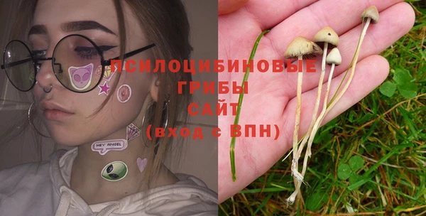 амф Магас