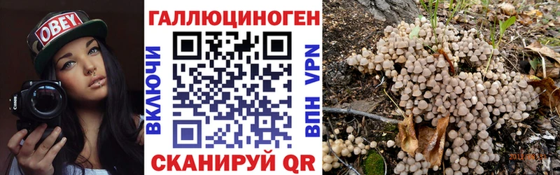 Галлюциногенные грибы GOLDEN TEACHER  Таштагол 