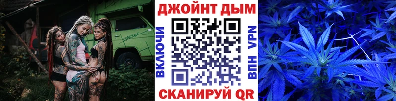 Каннабис сатива  Таштагол 